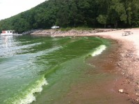 Algae Explosion in Lower River Inspires New Calls for Runoff Reduction