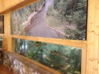 Minnesota State Fair aquarium features St. Croix fish