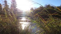 Confluence Color: The Kettle and the St. Croix in Autumn