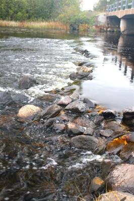 Rocks at Peterson's Bridge, by Greta Maki (age 6), Hayward.