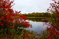 Namekagon River Photo Contest Winners