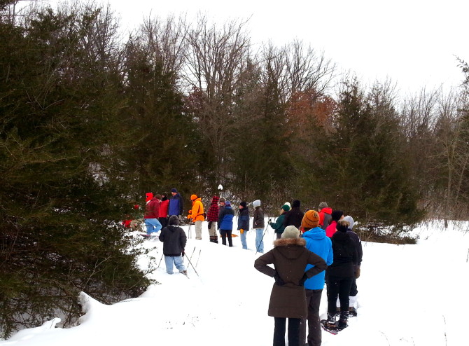 Standing amidst the cedars