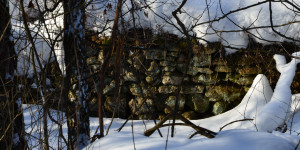 Historic foundation