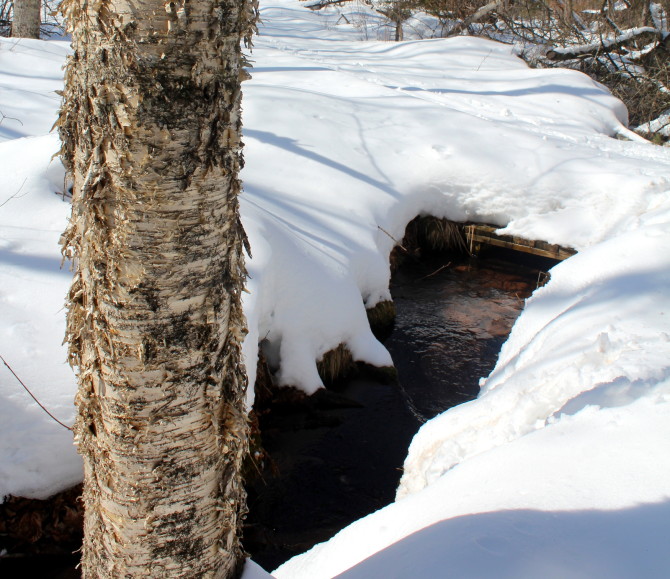 Trickling tributary