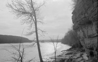 Jams, Dams, Pines and Pigs: Reflections on the St. Croix Logging Era