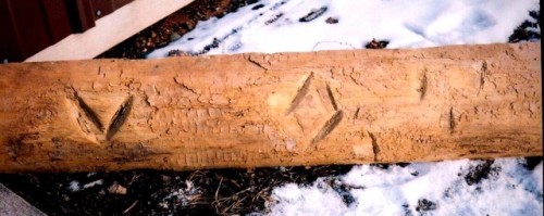 V Diamond Rabbit Track bark mark shown on a log retrieved from Sweet Lake at the head of the Eau Claire Lakes Chain in Bayfield County. (Dave Thorson photo)