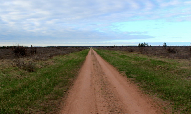 Gomulak Road, Namekagon Barrens.