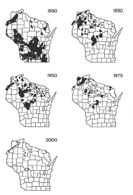 Decline of sharp-tailed grouse in Wisconsin (WI DNR)