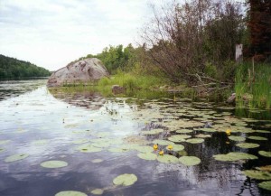 Eau Claire River glacial erratic boulder