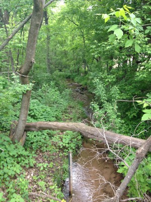 Kelle's Creek, looking upstream from St. Croix Trail