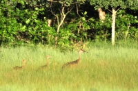Experience Fall Migration During River Association Gathering