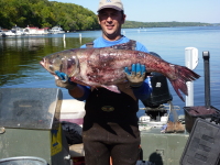 Community meetings scheduled to discuss invasive carp