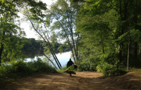 Seeking a Solution for Log House Landing