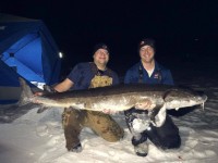 Record-Sized Sturgeon Caught Near Stillwater
