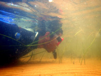 When Teachers Give Troubled Kids A Snorkel, A Camera, and the St. Croix River, Two Extraordinary Things Happen