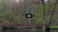 Video: Tribute to the Totogatic River