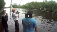 Photos and Video Show Multiple Invasive Carp Caught in Bayport