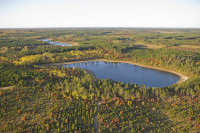 Massive Forest Conservation Project Will Protect St. Croix Headwaters