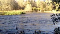 Video: A Slow-Motion Study and Celebration of the Ceaseless Motion of Rivers