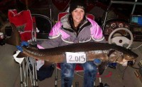 Five-Foot Fish Wins St. Croix River Sturgeon Contest