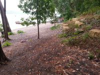Stabilizing the St. Croix River Bluff in Lakeland