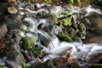 Poem: The Color of a River IMG_5917