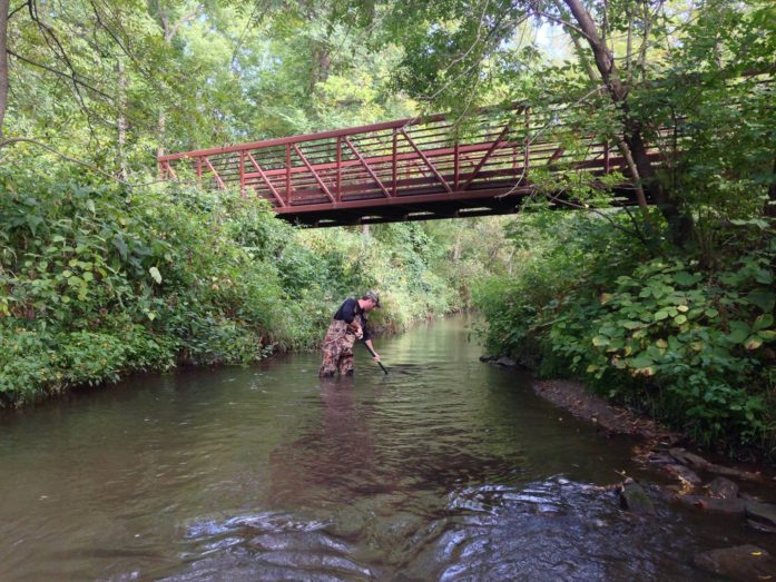 A volunteer at the 2015 AIS Bridge Snapshot Day sweeps a net through a stream. (Photo courtesy River Alliance of Wisconsin)