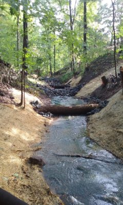 Stabilizing the St. Croix watershed, one gully at a time. (Photo Chisago Soil & Water Conservation District)