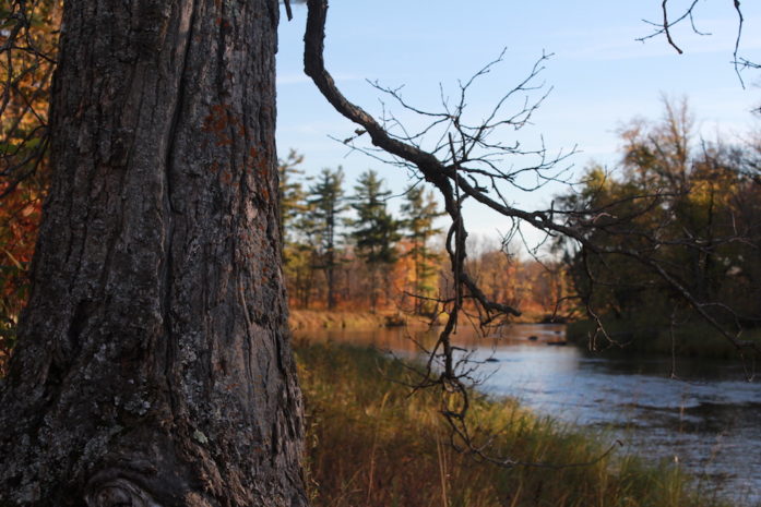 The confluence of the Kettle River and the St. Croix, October 2014 (Photo by Greg Seitz)