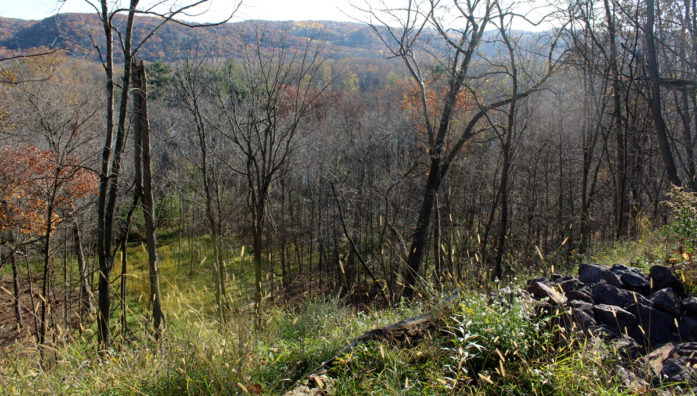 The restored 197th St. gully site in 2016. (Greg Seitz, St. Croix 360)