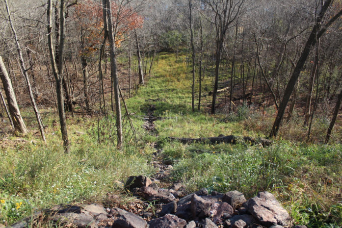 The restored gully, October 2016. (Greg Seitz, St. Croix 360)