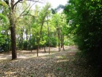 Stillwater seeks community input on new St. Croix River park