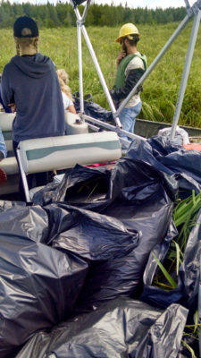 Bags of yellow iris pulled from Upper St. Croix Lake. (Photo by Angelique Dahlberg, St. Croix River Association)