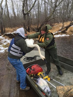 Jeff Butler (left) and a National Park Service ranger transfer Muskie from the boat to land. (All photos courtesy Jeff Butler)