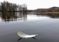 River Bum Blog: Seeking spring