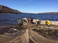 Photos: Hauling in fishing nets on the St. Croix River
