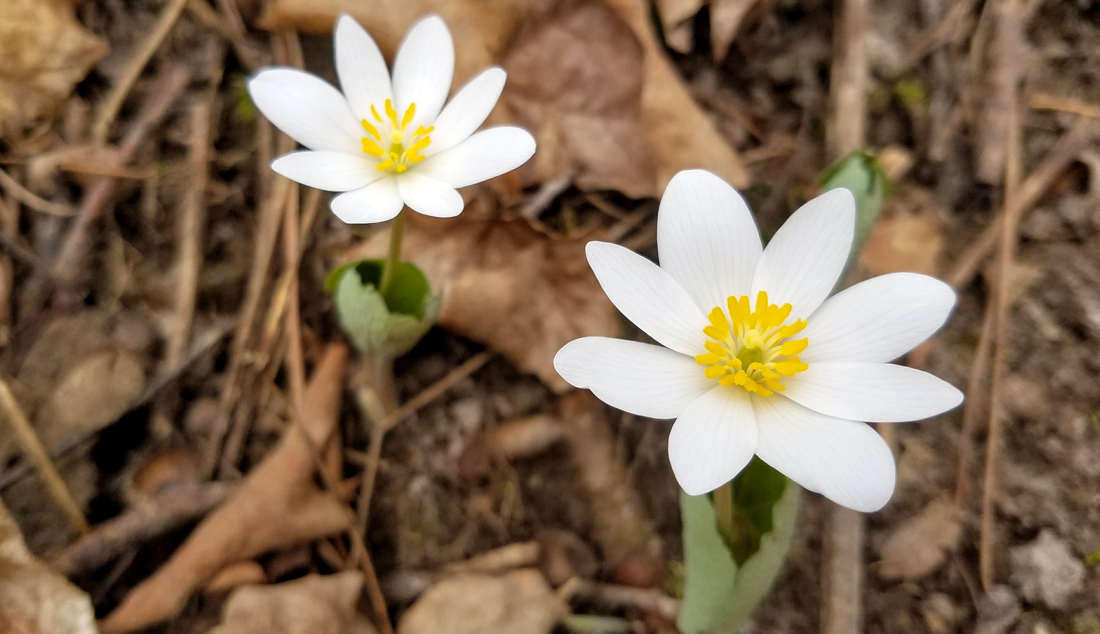 20170409_123327