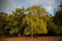 Supreme Court upholds scenic protections for Lower St. Croix River 27043470803_2e3bd16f27_k