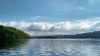 Helpful tips for Lower St. Croix landowners looking to modify their property in protected zones