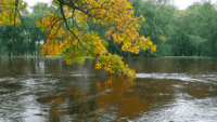 River Bum Log: Quickly flowing into fall