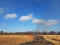 River Bum Log: Burning on the bluffs under blue skies