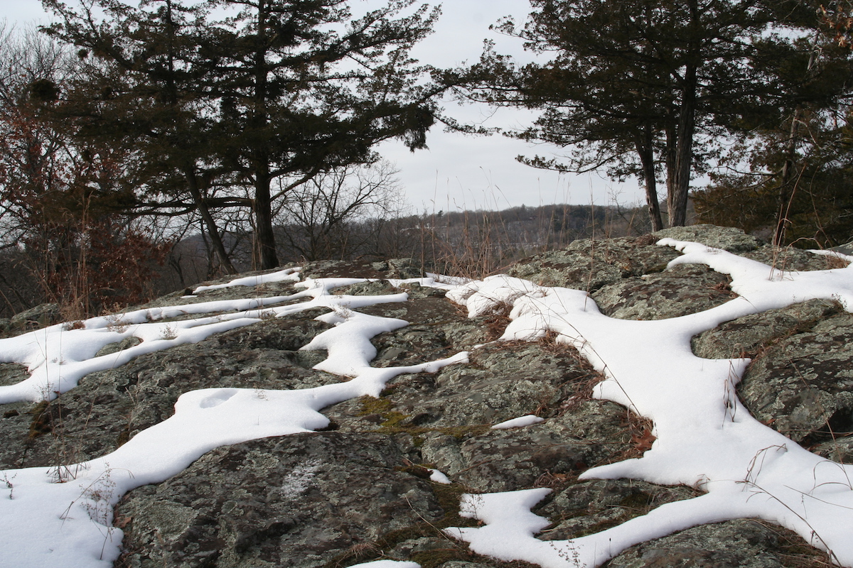 April – Signs of Spring Month in the St. Croix Watershed
