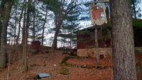 Pine Needles artists-in-residence excited to work with St. Croix scientists Back of Pine Needles cabin