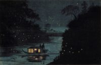 Nature’s magnificence illuminated by fireflies on the Namekagon River