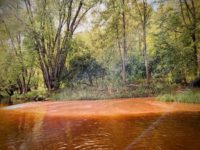 Middle Creek Calamity: Authorities investigate St. Croix River damage from stormwater pond overflow