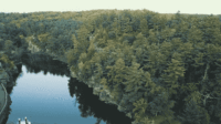Dalles by drone: See the St. Croix’s cliffs from high in the sky