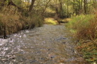 St. Croix River tributary celebrates decades of protection