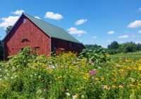 “Wildly Successful Farming” benefits people, wildlife, lakes, and rivers