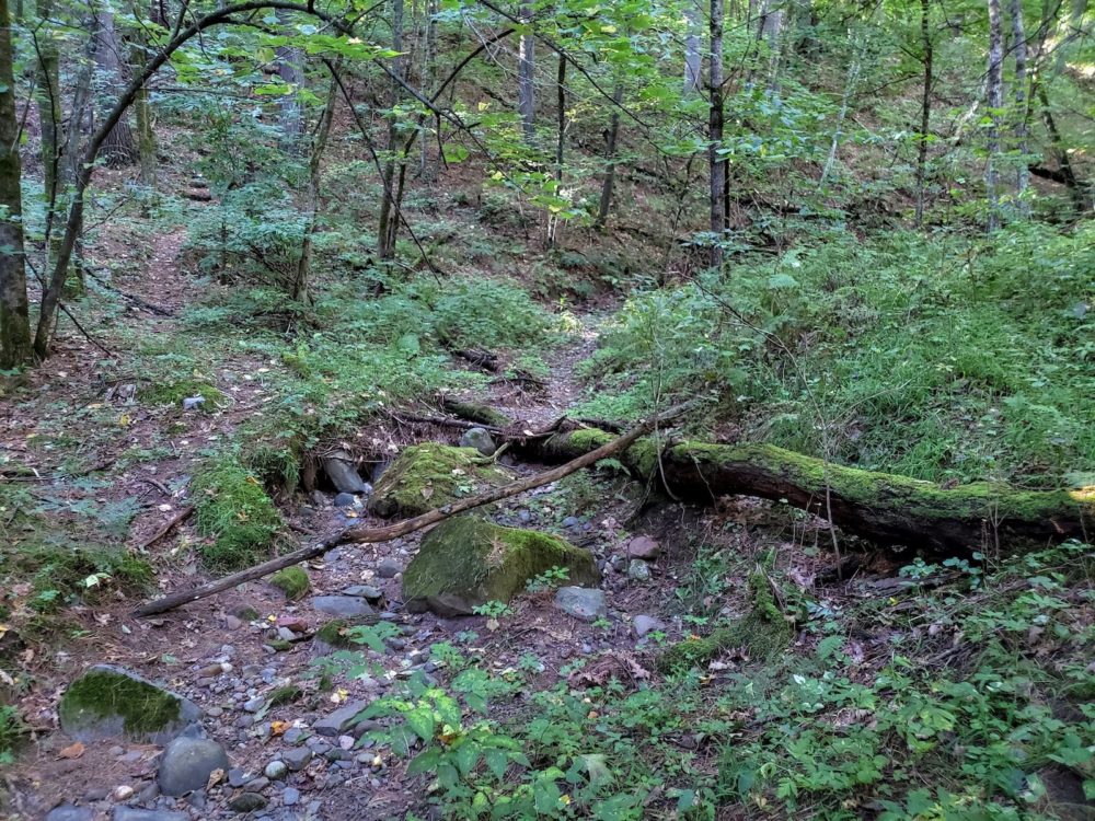 Ephemeral channels like this one along Falls Creek flow only after rain or snowfall, but are important parts of the river systems.   