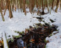 20190110_140737